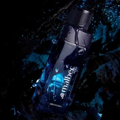 Perfume Masculino Malbec Edt Bleu 100Ml Exp